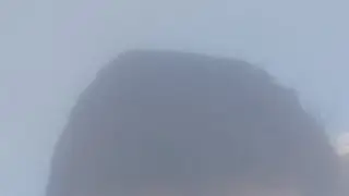 Shaxzod