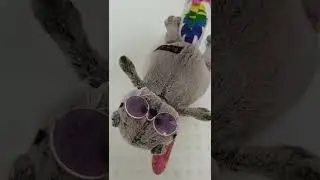 БАСИК КУПАЕТСЯ В БАССЕЙНЕ / БАСИК ПЛАВАЕТ 
