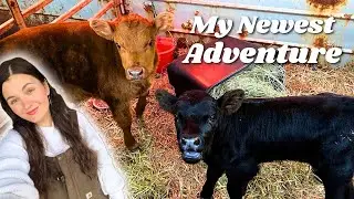 My Newest Adventure! 👩🏻‍🌾🐮 | Homestead VLOG
