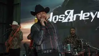Los Arleyez - Unicornio Negro (video en vivo)