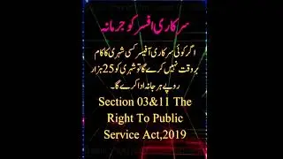 The Right to Public Service Act 2019 Sections 3 and 11 #basic_pakistani_laws_in_urdu #shorts