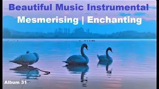 Beautiful Instrumental Music | Calming Piano| Variety of Birds Theme | Before I Go | Asher Fulero