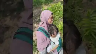 Panen buah di kebun bapak mertua