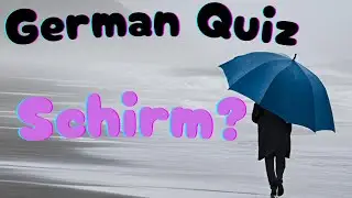 🇩🇪 German Quiz - Do you know these 5 words with -Schirm?