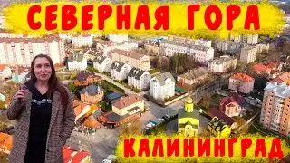 ДОБРАЛИСЬ ДО СЕВЕРНОЙ ГОРЫ КАЛИНИНГРАД/ПАРК АШМАНН/ЖИЛОЙ КОМПЛЕКС 