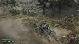 Days Gone is a scary game.....