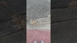 This Tactile Paver Is Dangerous