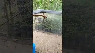 Cara pakai Nozel semprot serbaguna