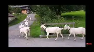 Perjalanan hidup