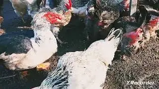 На даче в марте.