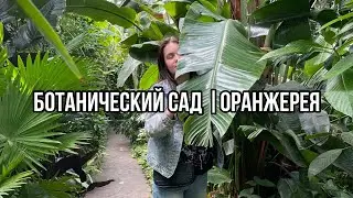 Самарский Ботанический сад | Оранжерея
