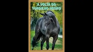 a volta do tordilho negro  1Mi 900