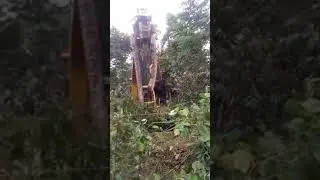 Viral Ular Piton raksasa Tersangkut Di sebuah Alat berat😱