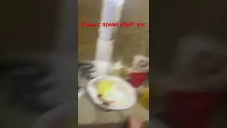 6 апреля 2024 г.