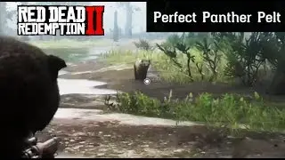 Where To Find A Panther - Red Dead Redemption 2 Perfect Pelt Location Guide (RDR2)