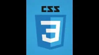 CSS Fundamentals: Selectors, Specificity, Box Model, Colors, Margin & Border Explained