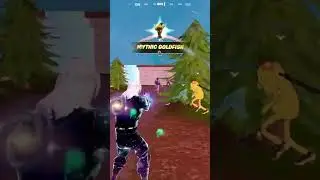 I Won a Fortnite Game While AFK!