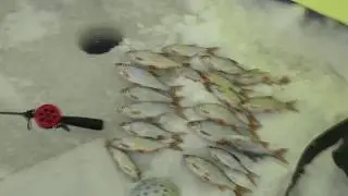 Рыбалка на 