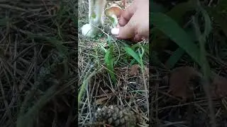 ❗Так всё хорошо начиналось... а потом пришла Маша😂 