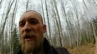 В лес на поиски топора.