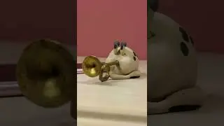Qute helps me wake up at 6:00 a.m.