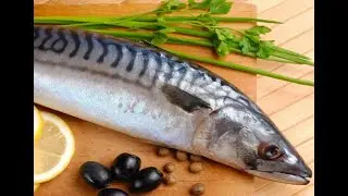Скумбрия.Скумбрия в духовке в горчичным соусом