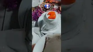 ☕НОВОЕ ГАДАНИЕ НА КОФЕЙНОЙ ГУЩЕ НА СЕНТЯБРЬ. ЧТО ИДЁТ В ТВОЮ ЖИЗНЬ В СЕНТЯБРЕ, К ЧЕМУ ГОТОВИТЬСЯ