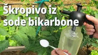 Baking soda for strengthening plants