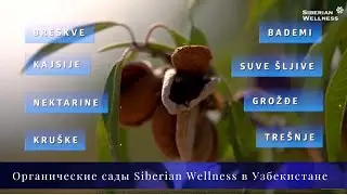 Эко сады Siberian wellness