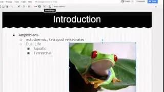 Google Slides:  Crop and Mask Tools