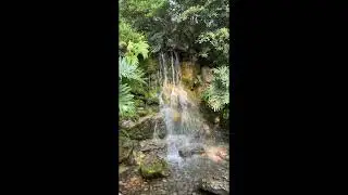 Alone Again (Naturally) · Gilbert O'Sullivan -1HOUR