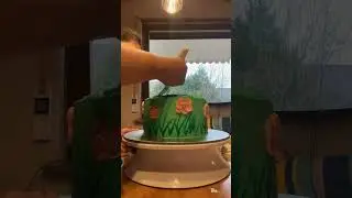 Bienen Maja Küchen (Maya the Bee Cake)
