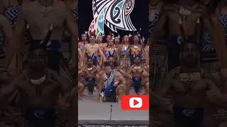 Real Kapa Haka Dance Maori New Zealand 