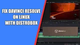 Fix DaVinci Resolve on Fedora 43 (AMD Radeon GPU) | DistroBox Fedora 42 Setup Guide