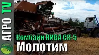 Уборка 2021 в разгаре