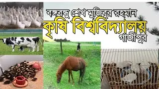 কি প্রাণী আছে কৃষি বিশ্ববিদ্যালয় গবেষণাগারে।