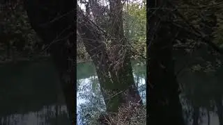 Красота малых рек осенью