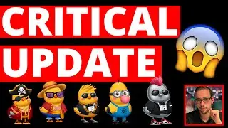 CRITICAL SOLCHICKS UPDATE [WATCH FAST]