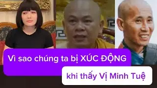Vì sao chúng ta bị XÚC ĐỘNG trước hình ảnh Vị Minh Tuệ