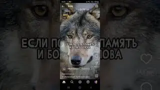 безумно можно быть нулевым