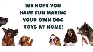 How To: Make Dog Toys from Old Shirts! A Girl Scout Bronze Project For Hope Animal Rescue
