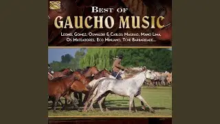 O Roubo da Gaita Velha