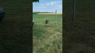 Начал борьбу с сорняками на винограднике