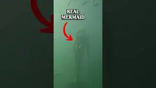 Real Mermaid Caught On Camera
