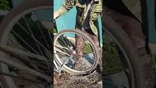 Как быстро выбить семечки из подсолнуха