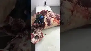 Говядина обвалка задней части