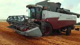 Grain path (a little about wheat) | Путь зерна (немного о пшенице)