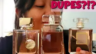 Coco Mademoiselle vs Sofia vs Club De Nuit Women