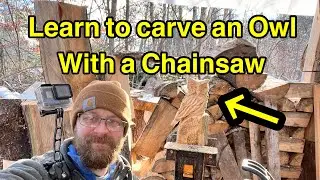 Beginniner chainsaw carved owl. Step by step chainsaw carving