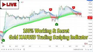 Gold XAUUSD Market Price Live | Buy/Sell Scalping Signals | Best Forex Trading M5 Strategy Indicator